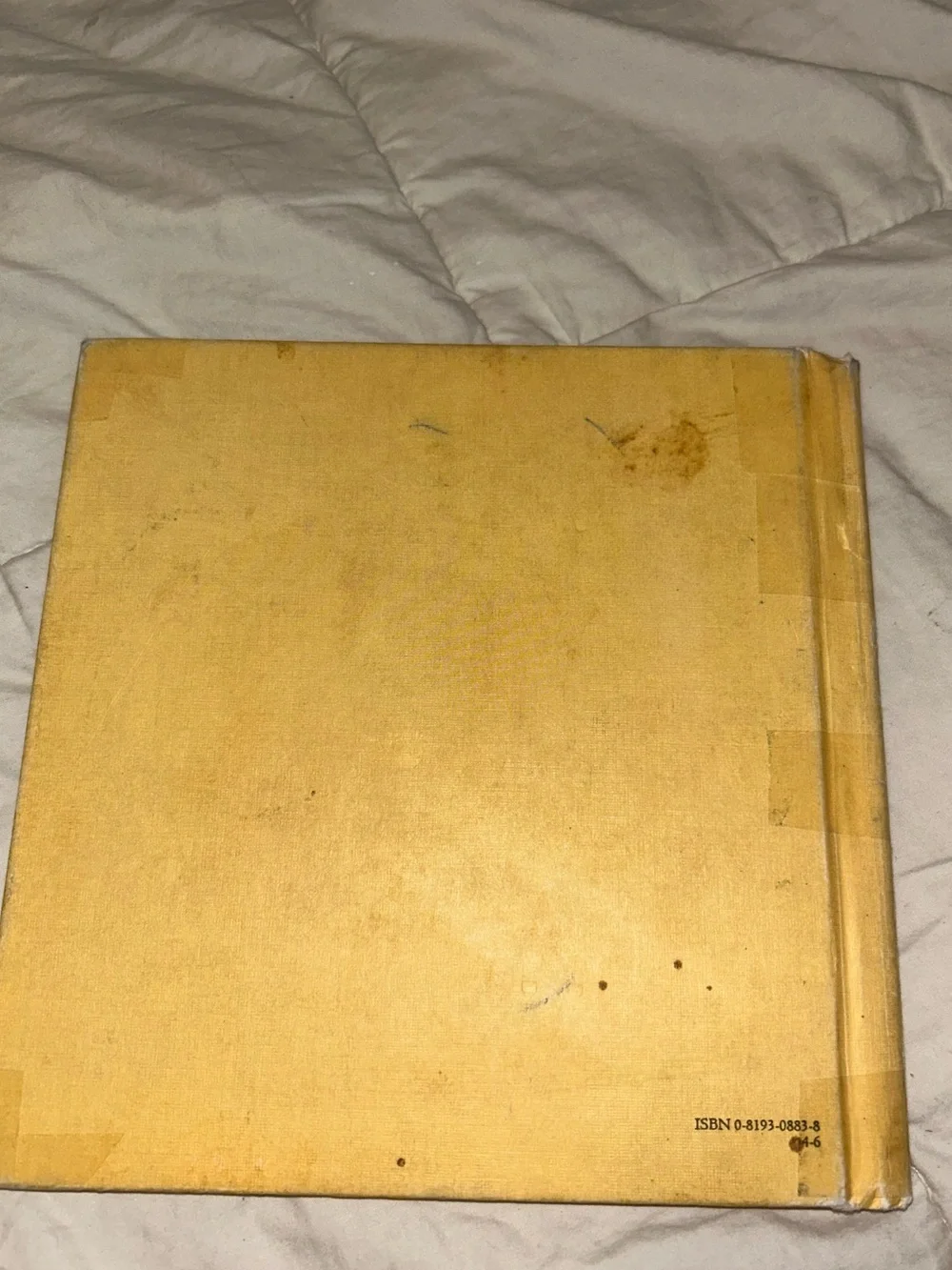 Willy Bear By Mildred Kantrowitz, Hardcover, 1976